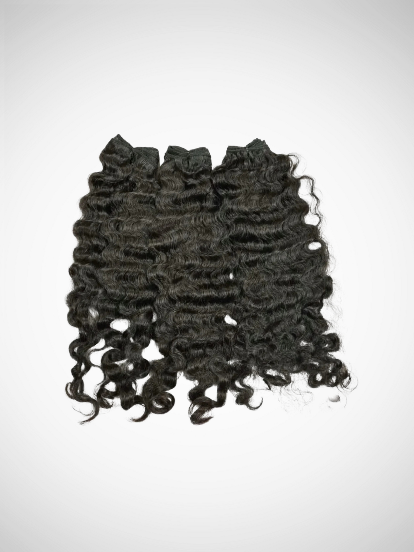 Raw Burmese Curly